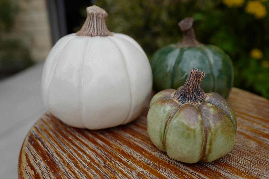 Pinch Pot Pumpkins with Michelle - Sept 26th, 2pm