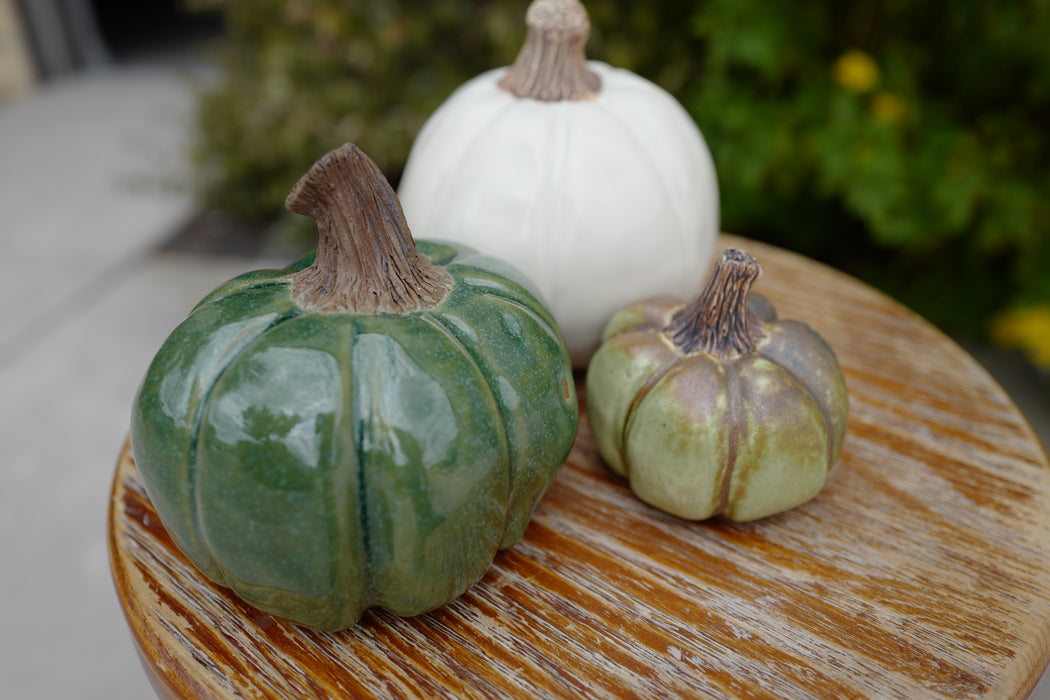 Pinch Pot Pumpkins with Michelle - Sept 26th, 2pm