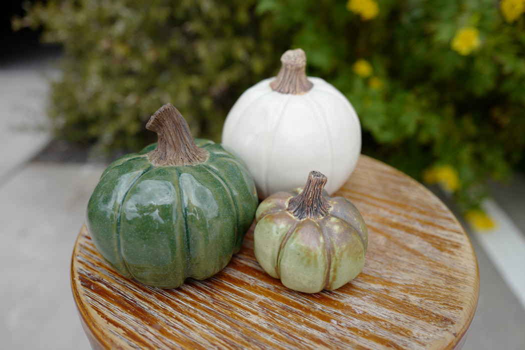Pinch Pot Pumpkins with Michelle - Sept 26th, 2pm